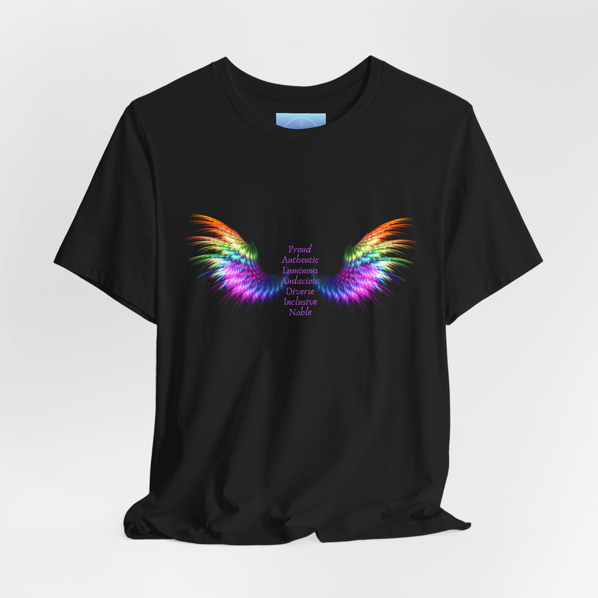 Rainbow Paladin Angel Wings T-Shirt — Inspirational Graphic Tee